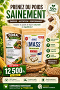 Game Critical Mass Gainer